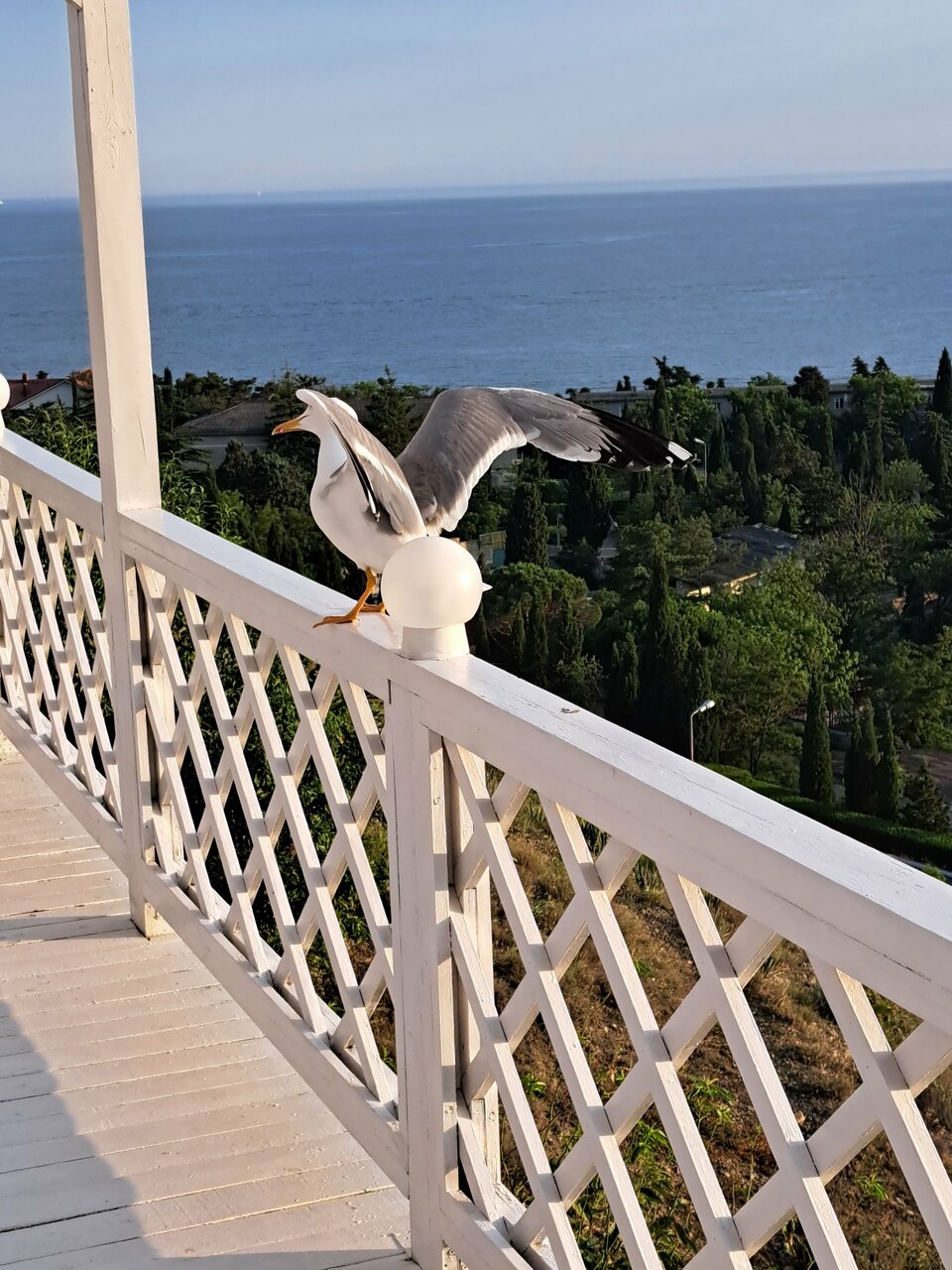 Гостиница Гранд Судак-49