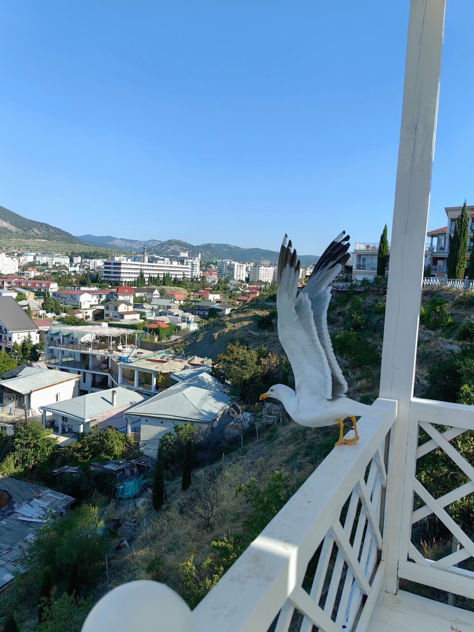 Гостиница Гранд Судак-38