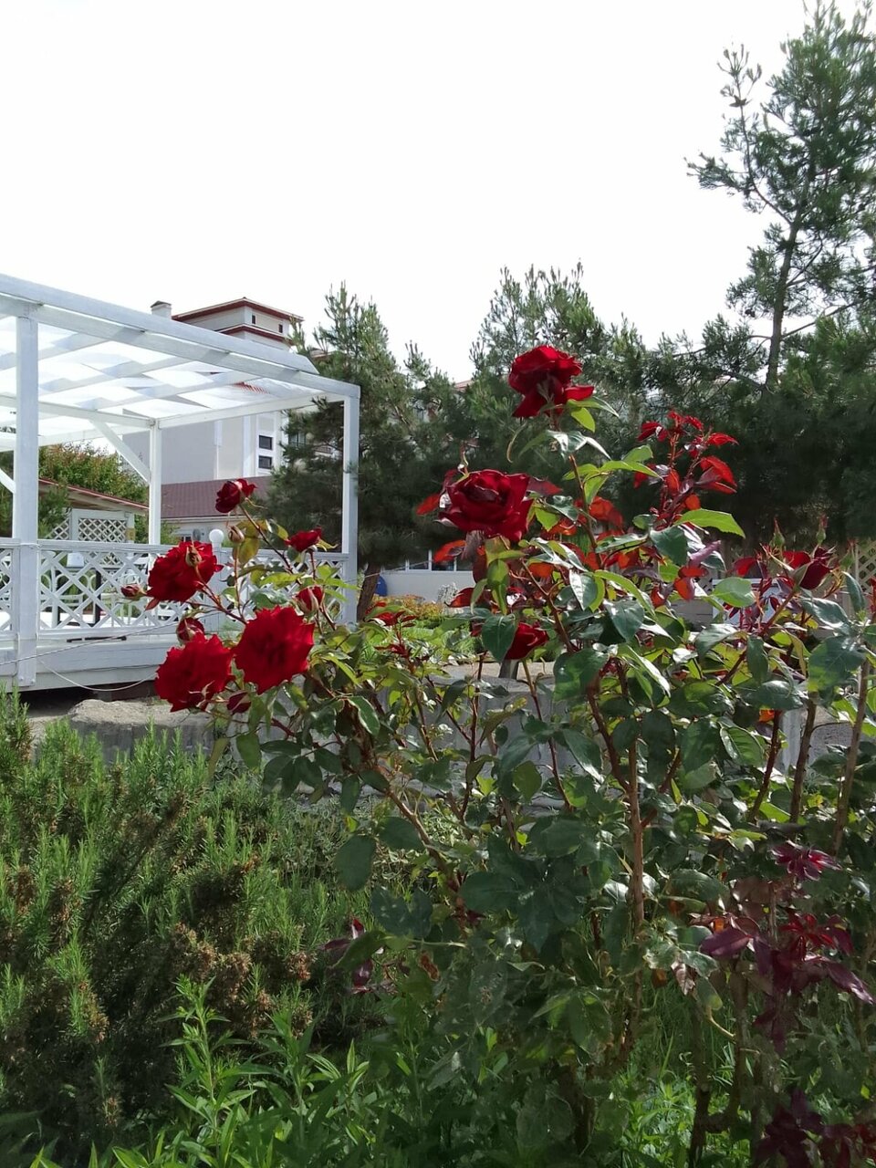 Гостиница Гранд Судак-36