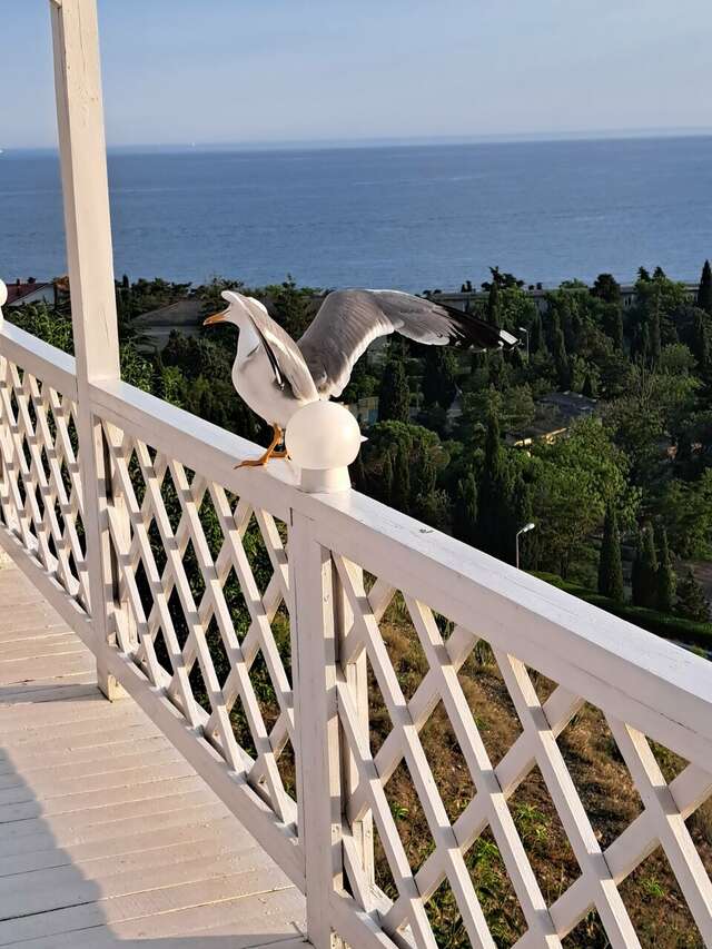 Гостиница Гранд Судак-48