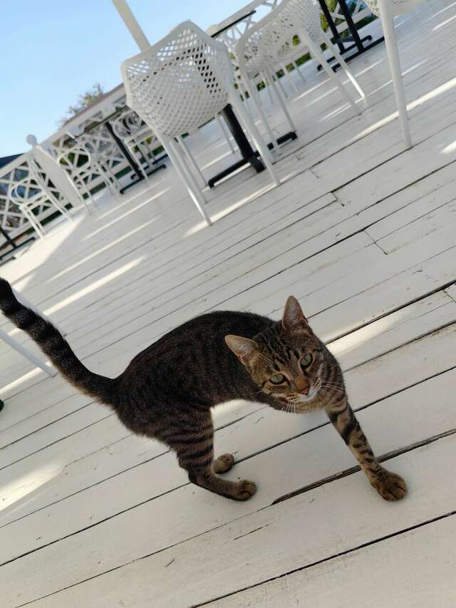 Гостиница Гранд Судак-31