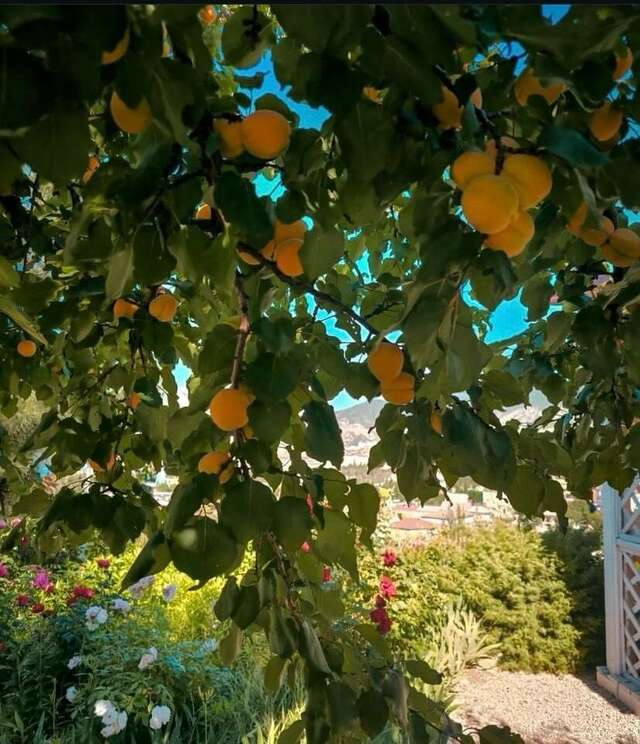 Гостиница Гранд Судак-9