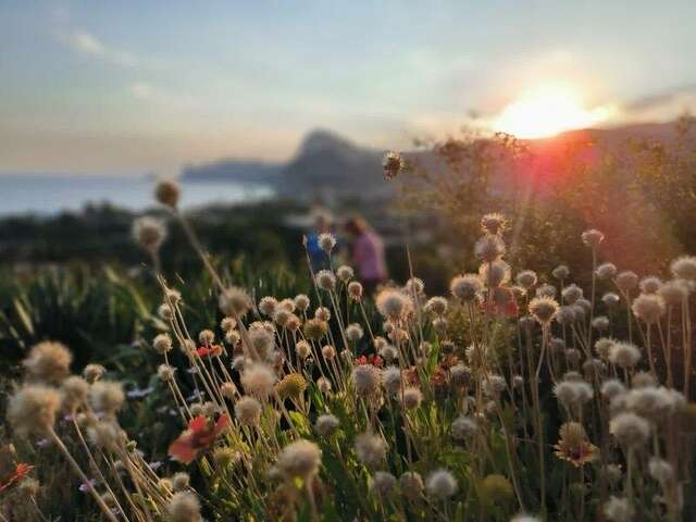 Гостиница Гранд Судак-17